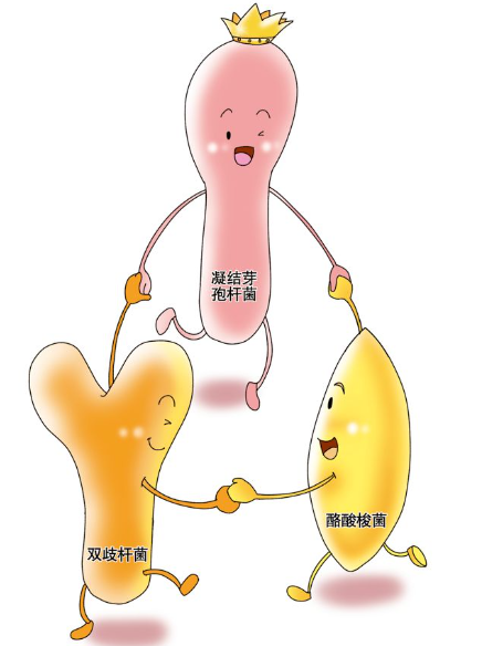 如何給寶寶選擇益生菌？