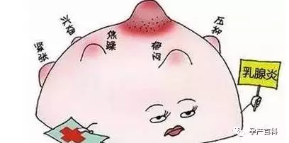 哺乳期乳腺炎，慎用抗生素！