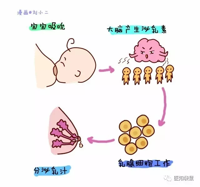 寶寶一哭就喂奶？