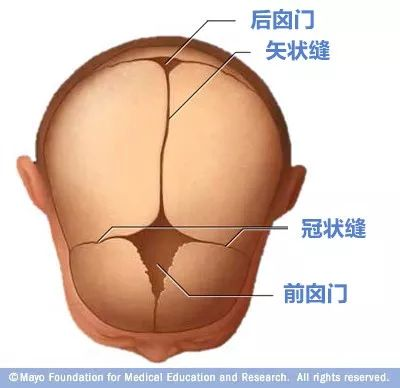 寶寶的囟門很重要，出現(xiàn)這3種異常要當(dāng)心！