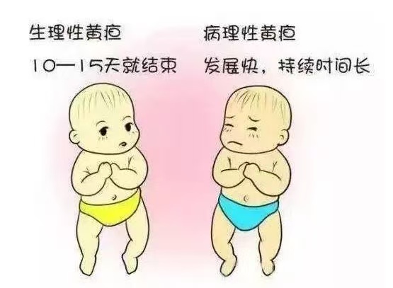 新生兒常見10種生理現(xiàn)象與7大護(hù)理要點(diǎn)！月嫂上崗前必讀！