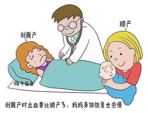 月子飲食全指南：科學(xué)搭配，助力產(chǎn)后恢復(fù)